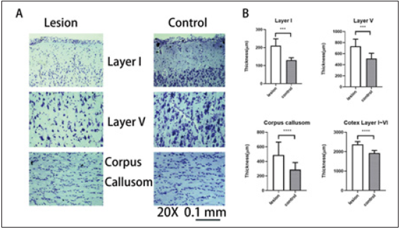 Click here to view Large image 2