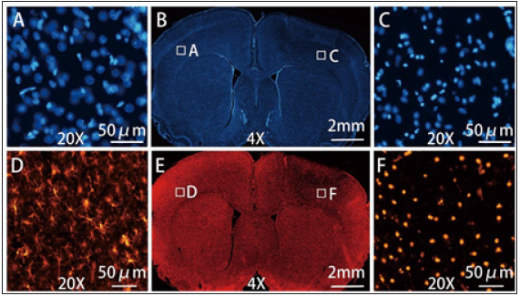 Click here to view Large image 3