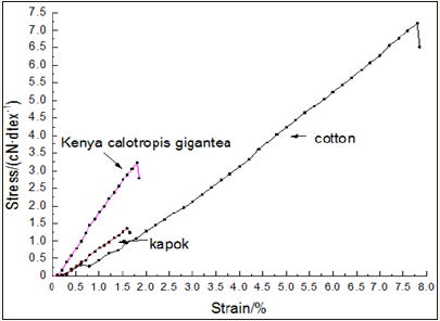 Click here to view Large images 7