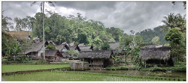 Click here to view Large image 1