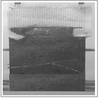 Click here to view Large images 2