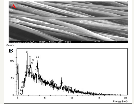 Click here to view Large image 2