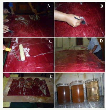 Click here to view Large image 4