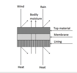 Click here to view Large image 1