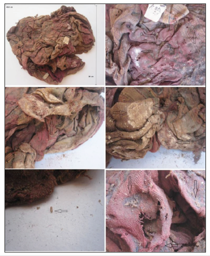 Click here to view Large image 2