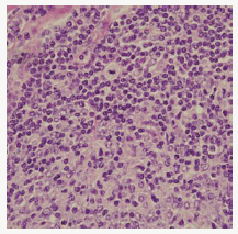 Click here to view Large image 1