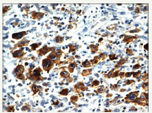 Click here to view Large image 10