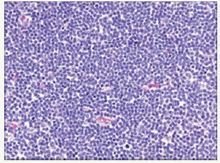 Click here to view Large image 2