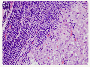 Click here to view Large image 3