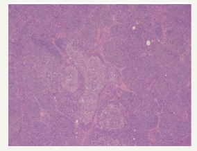 Click here to view Large image 4