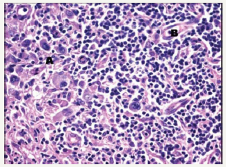 Click here to view Large image 5