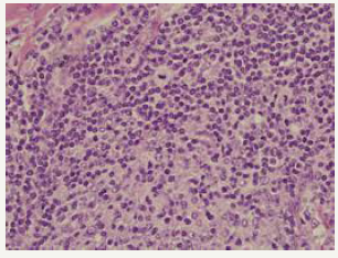 Click here to view Large image 6