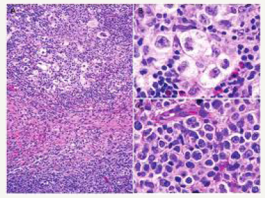 Click here to view Large image 7