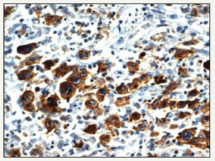 Click here to view Large image 9